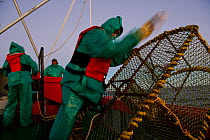 West coast rock lobster (Jasus lalandii) fishing boat James Archer (Oceana fisheries). Crew removing bait from traps, St Helena Bay harbour. St. Helena Bay, Western Cape, South Africa.