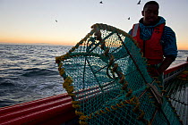 West coast rock lobster (Jasus lalandii) fishing boat James Archer (Oceana fisheries). Crew pulling up lobster traps at dawn. St Helena Bay harbour. St. Helena Bay, Western Cape, South Africa.
