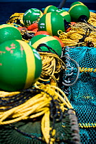 West coast rock lobster (Jasus lalandii) fishing aboard the James Archer (Oceana Fisheries). Brightly coloured buoys used to mark trap locations. Saldanha Bay and St. Helena Bay, Western Cape, South A...