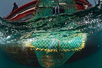 Fishing for West coast rock lobster (Jasus lalandii) aboard the James Archer (Oceana fisheries). Crew haul up lobster trap. Saldanha Bay and St. Helena Bay, Western Cape, South Africa.