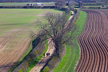 Walkers on footpath in farmland from Wiveton Downs, North Norfolk, UK, March