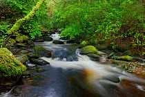 Torc River, Killarney National Park, County Kerry, Republic of Ireland.