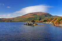 View across Muckross Lake, Killarney National Park, County Kerry, Republic of Ireland, November 2012