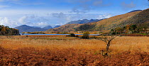 View across Magilicuddy Reeks, Gortderraree, Killarney National Park, County Kerry, Republic of Ireland, November 2012