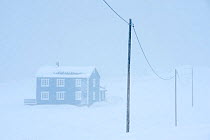 Old house and utility wires in falling snow. Veines, Varanger peninsula, Finnmark, Norway. February 2010