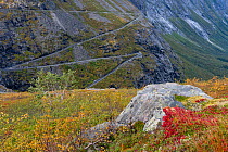 Landscape of the Trollstigen from the National tourist road (Nasjonal turistveg), Road 63, in Rauma, More og Romsdal, Norway. September 2012