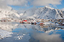 Reine village on coast, Moskenes, in winter. Lofoten, Nordland, Norway.