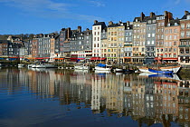 Honfleur harbour with boats and buildings reflected in the water, France, March 2013