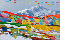Yapaya Pass,and  Buddhist snow / prayer flags, Baima Snow mountain, Yunnan province, China, April 2011