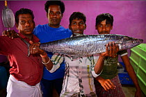 Fish and ice sellers with Barracuda (Acanthocybium solandri) in Pulicat town, Pulicat Lake, Tamil Nadu, India, January 2013.