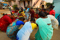 Womens' Self Help group Morning Star near Pulicat Lake, Tamil Nadu, India, January 2013.