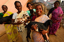 Members of the Womens' Self Help group Morning Star carrying goat children,, Pulicat Lake, Tamil Nadu, India, January 2013.