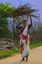 Woman carrying fire wood, Pulicat Lake, Tamil Nadu, India, January 2013.