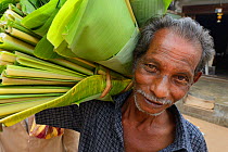 Man carrying bundle of Banana leaves, Pulicat Lake, Tamil Nadu, India, January 2013.