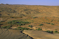 Arid landscape in Touran, Semnan Province, Iran