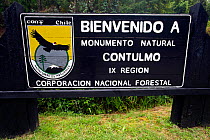 Entrance of Contulmo Natural Monument, Chile, December 2012