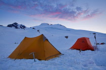 Tents at the mountaineering base camp for Mount Baker at sunrise, in the snow, Cascade Range, Washington, USA, June 2013