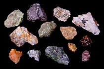 Various minerals that fluoresce under UV light including, Willemite, Aragonite, Fluorite and Zircon. See image 1434814 for specific identifications and country of origins.