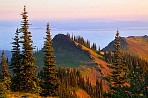Sunrise in Olympic National Park, from Deer Park, with a view of the Strait of Juan de Fuca covered in clouds and the mountains of Vancouver Island. Washington, USA, July 2013