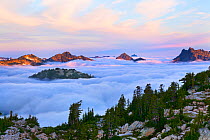 Dawn high in the Cascades overlooking the fog filled river valleys below, Alpine Lakes Wilderness, Washington, USA, August 2012.