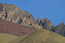 Bharal (Pseudois nayaur) habitat, Rumbak Valley, Hemis NP, at altitude of 4200m, Ladakh, India, October 2012
