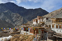 Rumbak Village, Rumbak Valley, Hemis NP, at altitude of 4100m, Ladakh, India, October 2012
