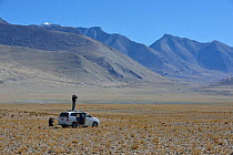 Men looking out into the distance, one standing on car, in Tibetan Wild Ass (Equus Kiang) habitat Tso Kar Lake, Chang Thang, at altitude of 4600m, Ladakh, India, October 2012