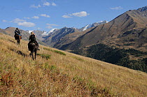 Woman and guide riding horses through Altai Wapiti / Maral deer (Cervus canadensis sibirica) habitat along Naryn River, at altitude of 2800m, Naryn NP, Kirghizstan, September 2011