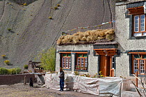 Shang Village, Hemis NP, at altitude of 4050m, Ladakh, India, October 2012