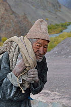 Old man collecting potatoes, Shang Village, Hemis NP, at altitude of 4050m, Ladakh, India, October 2012