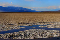 Salt pan at Badwater, Death Valley National Park, California, USA  November 2012