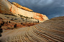 Layered sandstone on mesa, Zion National Park, Utah, USA November 2012