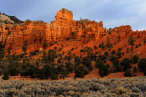 Rock formations in Red Canyon, Dixie National Forest, Utah, USA November 2012