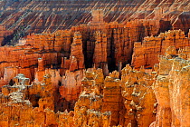 Sandstone formations called hoodoos, Bryce Canyon National Park, Utah, USA November 2012