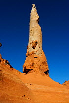 Monolithic spire, Colorado Plateau, Kodachrome Basin State Park, Utah, USA November 2012