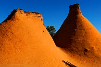 Sandstone monoliths, Colorado Plateau, Kodachrome Basin State Park, Utah, USA November 2012