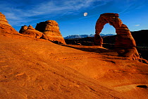 Delicate Arch and La Sal mountains, Arches National Park, Utah, USA November 2012