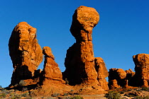 Sandstone formations of Garden of Eden, Arches National Park, Utah, USA November 2012