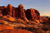 Sandstone pillars, Garden of Eden, Arches National Park, Utah, USA November 2012