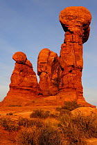 Sandstone pillars, Garden of Eden, Arches National Park, Utah, USA November 2012