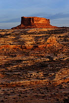 Monitor butte, Entrada sandstone, Colorado Plateau, Utah, USA November 2012