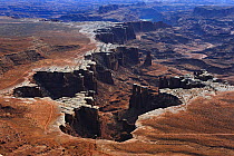Canyon scenery, Island in the Sky. Canyonlands National Park, Utah, USA December 2012