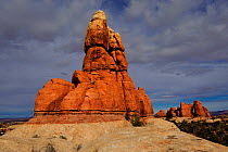 The Needles, patterns formed by erosion in sandstone, Canyonlands National Park, Utah, USA December 2012