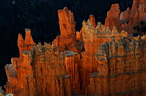 Sandstone formations called hoodoos, Bryce Canyon National Park, Utah, USA December 2012