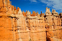Sandstone formations called hoodoos, Bryce Canyon National Park, Utah, USA December 2012