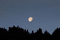 Moon above silhouette of Needles, Canyonlands National Park, Utah, USA December 2012