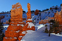 Hoodoos - sandstone formations, in snow, Bryce Canyon National Park during winter, Utah, USA December 2012