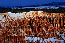 View of Amphitheatre hoodoos in snow, viewed from Bryce Point, patterns formed by erosion in sandstone, Bryce Canyon National Park, Utah, USA December 2012