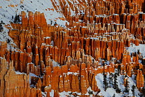 View of Amphitheatre hoodoos in snow, viewed from Bryce Point, patterns formed by erosion in sandstone, Bryce Canyon National Park, Utah, USA December 2012