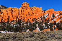 Rock formations in Red Canyon, Dixie National Forest, Utah, USA January 2013